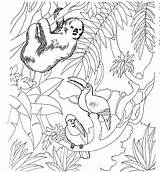 Coloring Zoo Pages Kidprintables Return Main sketch template