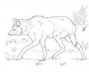 wolf  adult coloring pages printable