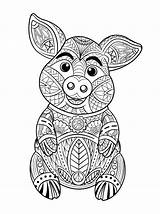 Coloring Pig Pages Abstract Animal Mandala Freepik Adult Vector Choose Board sketch template