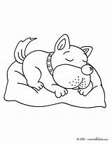 Dog Sleeping Coloring Drawing Pages Hellokids Kids Hello Color Animals Cute Puppies Print Paintingvalley Chien Choose Board sketch template