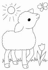 Lente Kleurplaat Kleurplaten Dieren Schapen Jonge Makkelijk Tekeningen Coloring Schaap Tekenen Thema Knutselen Ovejas Boerderij Uitprinten Schattige Ostern Knutsels Kinderen sketch template