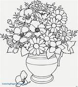 Coloring Dahlia Pages Flower Getcolorings Printable sketch template