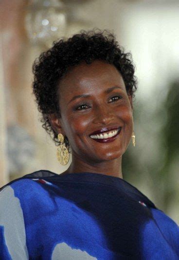 Waris Dirie Biography And Accomplishments 10 Black Women