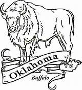 Printable Oklahoma Coloring Pages Buffalo Supercoloring sketch template