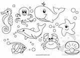 Colorare Oceano Disegno Lavoretti Creativi Infanzia Scuola Acquatici Pesci Lavoretticreativi Animale Vacanze Fattoria sketch template