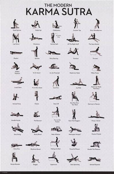 The Modern Kama Sutra Sex Positions Poster 24x36 – Bananaroad