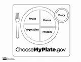 Myplate sketch template