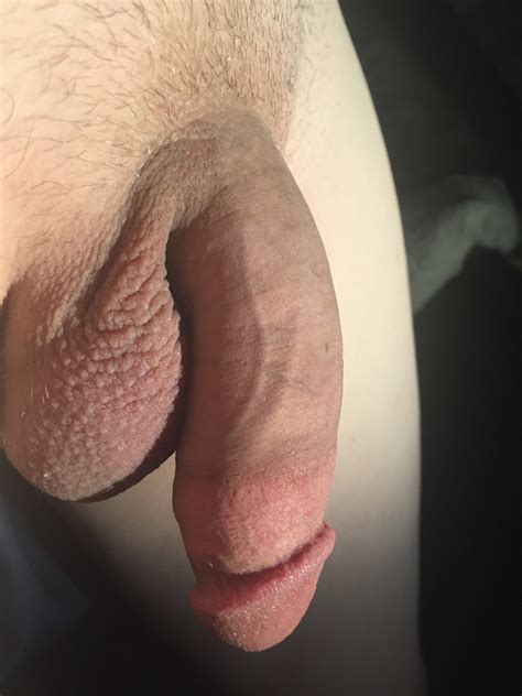 49  In Gallery Cocks In Pursuit Of The Perfect Penis