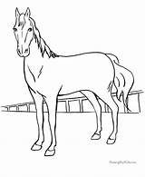 Coloring Pages Horse Realistic sketch template
