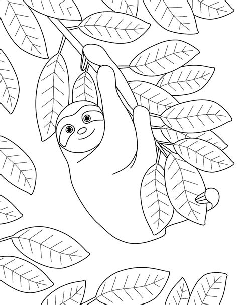 sloth coloring pages  printable coloring pages  sloths