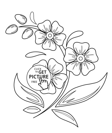 flowers coloring pages  kids printable