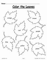 Worksheets Worksheet Homeschool Preschoolers Supplyme Sheets Tracing Mpmschoolsupplies Recognition sketch template