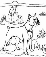 Boxer Coloring Dog Pages Keeper Safe Master His sketch template