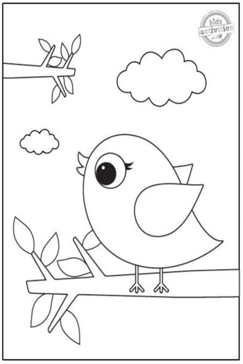colouring pages  kids birds