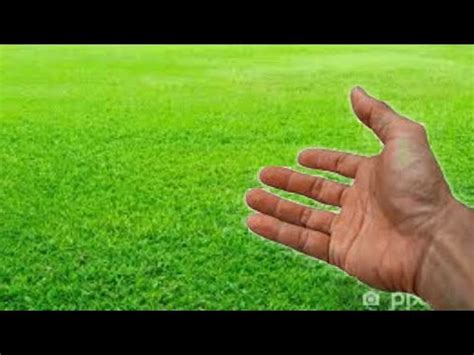 touch grass   happen youtube