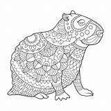 Capybara Coloriage Illustrazione Animale Mammifero Siluetta Roditore sketch template