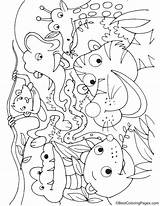 Coloring Rainforest Animals Pages Kids sketch template