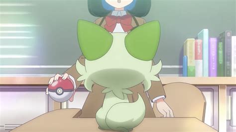 aggregate     pokemon anime protagonist  induhocakina