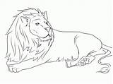 Lion Coloring Pages Printable Lions Animals Drawing Down Easy Cub Print Color Lying Mouse High Draw Resolution Animal Kids Nittany sketch template