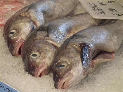 smell  rotten fish   predict  recovery