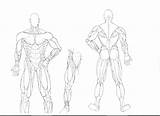 Coloring Muscle Pages Man Muscles Getcolorings Anatomy Getdrawings sketch template