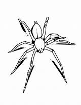 Spider Coloring Pages Kids Clipart Printable Spiders Color Insect Halloween Spiderman Drawings sketch template