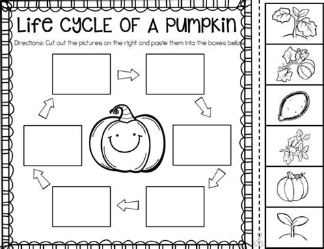 life cycle  pumpkin printable