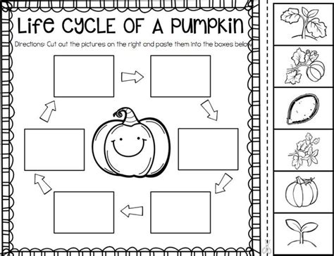 pumpkin life cycle kindergarten worksheet