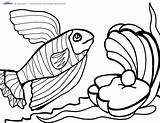 Ikan Mewarnai Coloring Gambar Clipartmag sketch template