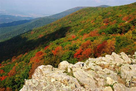 shenandoah national park   closed   request   state department  health