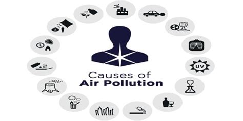 pollution   remedies assignment point