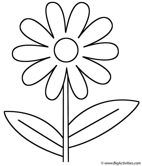 flower coloring page plants