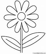 Coloring Flower Flowers Plants Kids Pages Print Printable Activity Great Who sketch template