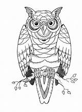Coloring Owl Tattoo Pages Majuu sketch template