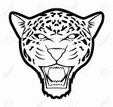 Jaguar Drawing Easy Vector Head Panther Clipart Simple Illustration Stock Drawings Cartoon Baby Drawn Face Aztec Logo Paintingvalley Getdrawings Clipartmag sketch template