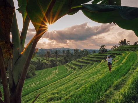 The Best Tour Package Rice Fields Unesco Bali