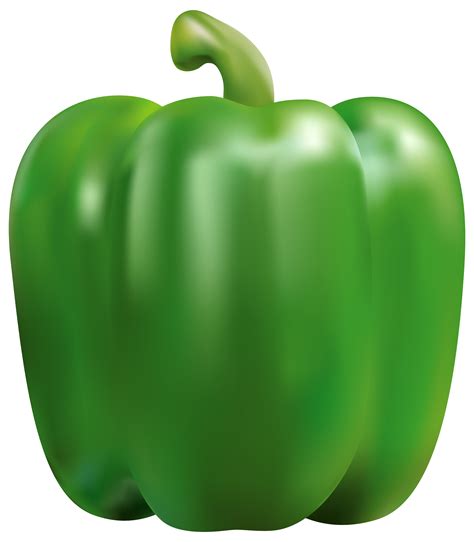 green pepper cliparts   green pepper cliparts png