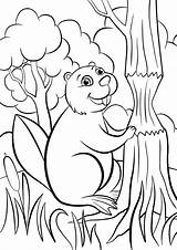 Beaver Coloring Pages Animals Print Color категории раскраски из все sketch template