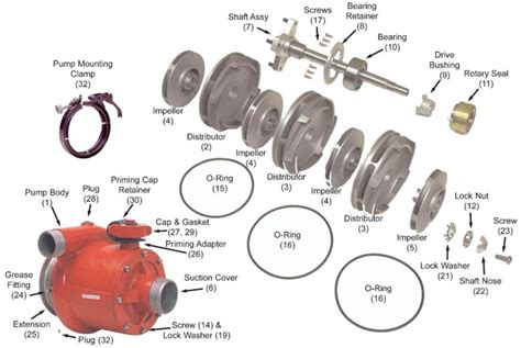 shurflo pump parts diagram general wiring diagram