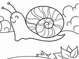 Lumaca Slug Snail Vettore Coloritura Adulti Gli Colorazione sketch template