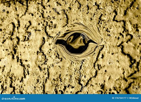 sand eye  abstract design stock image image  disease mangrove