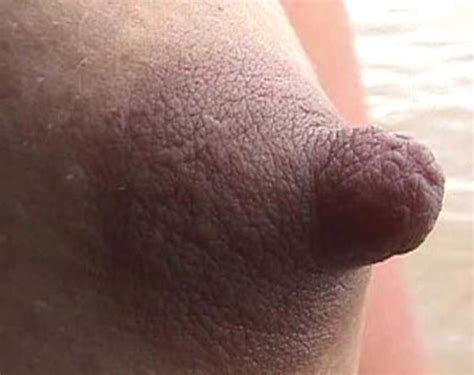 long erect nipples image 4 fap