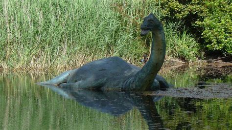 nessie  facts  loch ness  elusive resident page