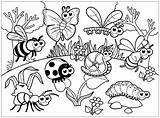 Coloring Insects Pages Bugs Kids Search Again Bar Case Looking Don Print Use Find sketch template