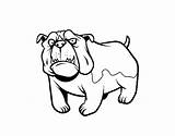 Bulldog Dog English Coloring Pages Coloringcrew Dogs Colorear Dibujo Doodle Cat Games sketch template