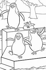 Coloring Penguins Madagascar Pages Penguin African Zoo Pdf Adventures Funny Animals Scene Getcolorings Stay Always Together Comments sketch template