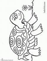 Turtle Coloring Pages Turtles Kleurplaat Animal Kleurplaten Printable Nl Sea Schildpad Hellokids Adult Coloriage Tortue Afkomstig Van Colouring Color Baby sketch template