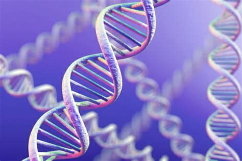 generide   gene editing approach  rare disease patients rare disease advisor