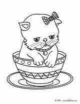 Cup Kitten Coloring Pages Print Cat Hellokids Cats Color Animal sketch template