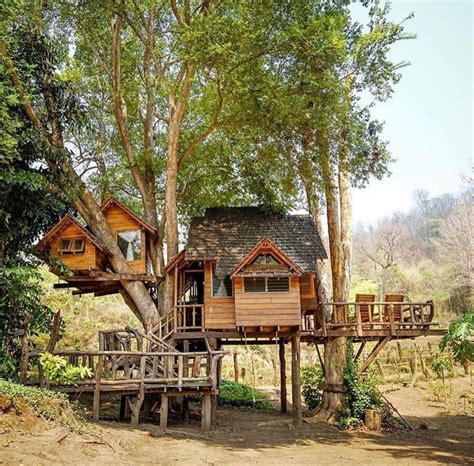 pin  outrageously rebellious women  treehouses beautiful tree houses tree house tree